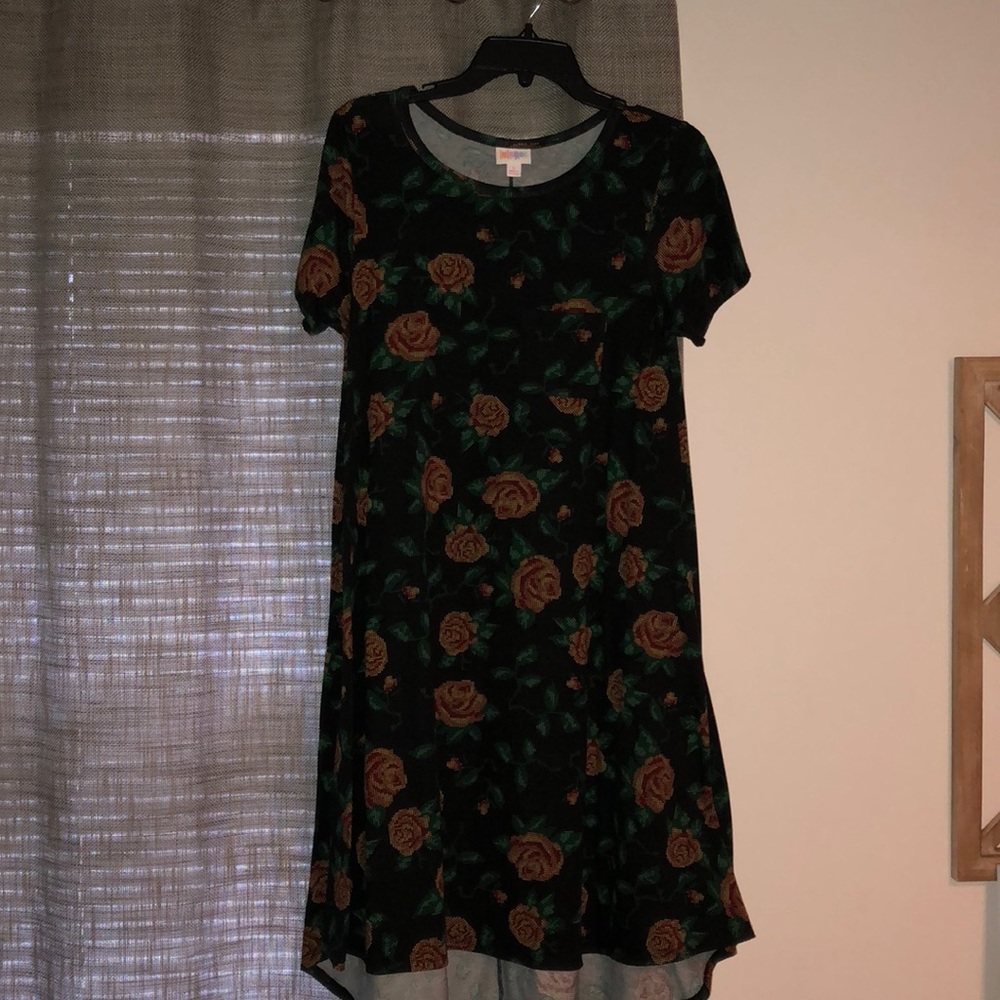 Lularoe Carly size small